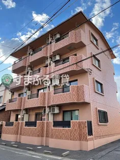 フォルトゥーナ ヴィータの画像