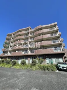 エターナル ステアズの画像