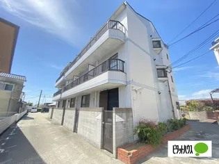 シャンティイ中ノ島【302号室】の外観