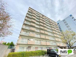 ヤマイチPLAZAサンシティ広瀬【203号室】の外観