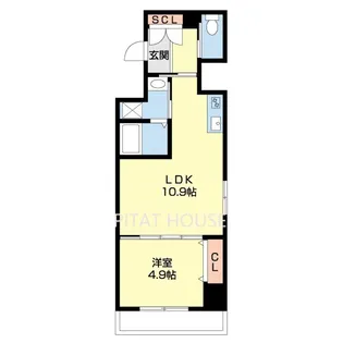 Wisteria広道【801号室】の間取り