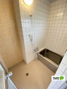 東和コーポラス【502号室】の風呂