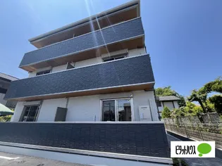 ナピカⅡの画像