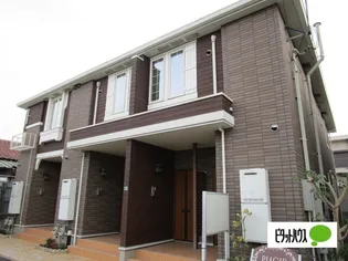 プラセールの画像