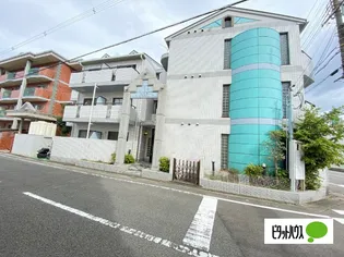 シャルマンフジ中之島壱番館【202号室】の外観