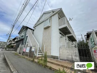 アンジュの画像