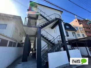 ハシムコウの画像