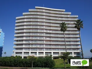 パシフィックビスタⅢの画像