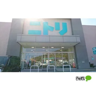 シーサイドM【201号室】の周辺