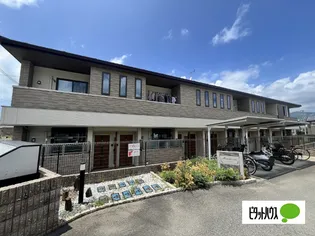 マンダリーナの画像