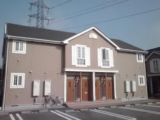 コモドカナヤの画像