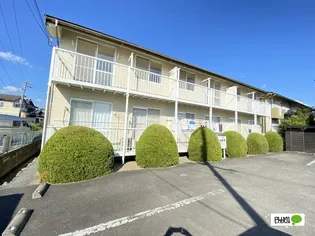 ハイツコサカⅣ【2階】の外観