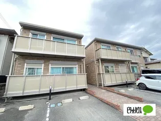 ビルロートの画像