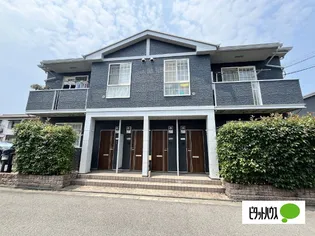 セーリウス梅原Iの画像