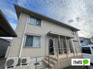 モクレンの画像