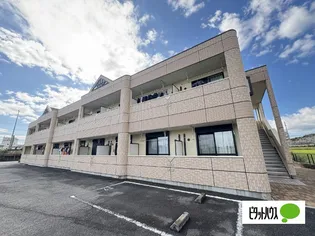 CoCo.グレイス【207号室】のその他画像