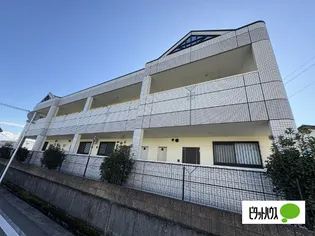 ウインドソングの画像