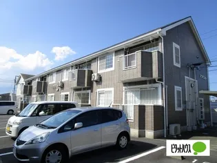 アプリコットの画像