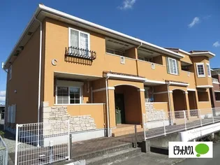 コスミオンCの画像