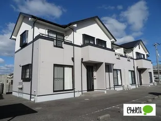 徳島県鳴門市撫養町弁財天字ハマ【テラスハウス】の外観