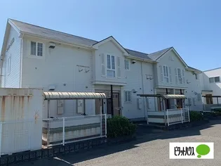 サン パレス キングの画像