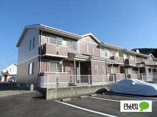 ベイスターCの画像