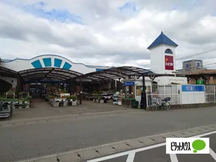 アルフォート藍住【1階】の周辺