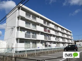ハイツララポート【501号室】の外観