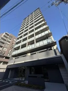 GM KOHAMAの画像
