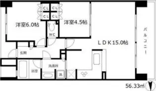 ザ・大阪レジデンス梅田【13階】の間取り