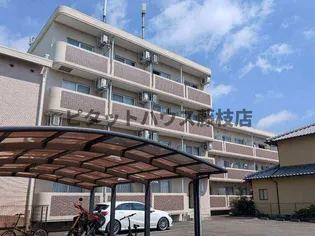 静岡県藤枝市田沼4丁目【マンション】の外観