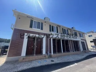 静岡県焼津市高新田【アパート】の外観