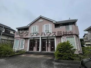 プレアデスⅡの画像