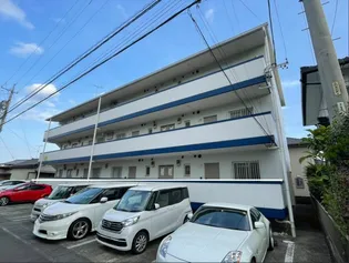 ノヴァ藤枝の画像