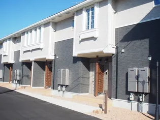 スターリー ホライズン Bの画像