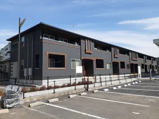 ステラ川津の画像