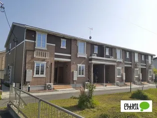 パラダリア Cの画像