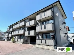 アミューの画像