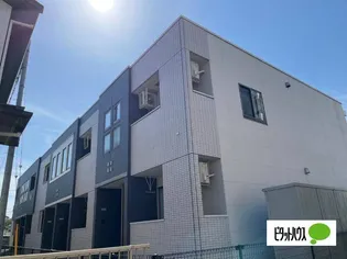 コーンポピーの画像