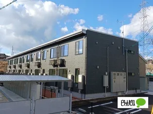 サンフラワーの画像