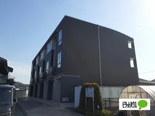 プラゼールの画像