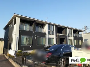 キュート ノースの画像