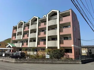 シャンポールAの画像