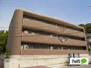 グラン フィオーレの画像