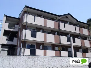 ヴィオラGの画像