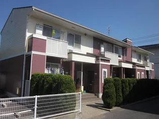 ブラウンシャトレーの画像