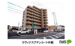 ラヴィナスアテンコートの画像