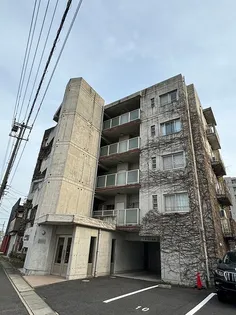 アイビーステイツの画像