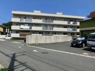 レジデンス外中原【303号室】の外観