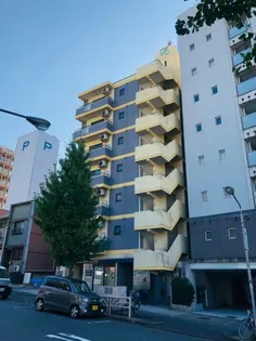 ドール丸の内の画像